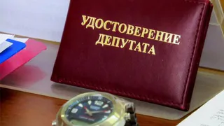 Семь брянских депутатов отказались от мандатов, чтобы не раскрывать доходы