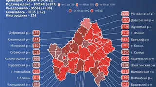 12 брянцев умерли от COVID-19 за сутки