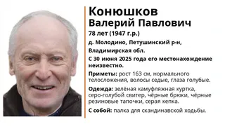 В регионе разыскивают пропавшего 78-летнего мужчину в камуфляжной куртке