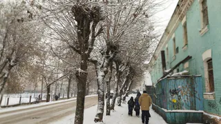 Круговерть: Тамара Глоба назвала два знака Зодиака, жизнь которых изменится до конца года