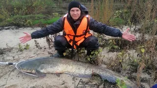 Рязанский рыбак на Оке поймал сома весом 32 килограмма