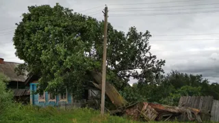 В Заборье прошел смерч: жители деревни Борисково третий день живут без электричества