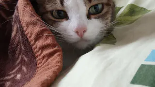 Не повышение цен, а намного хуже: россиянам объявили о возросших штрафах за отопление