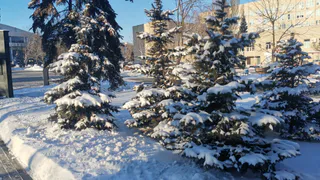 В минус уйдём резко: Синоптики предупредили россиян о сильных морозах. А снега-то дождёмся?