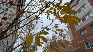 Непогода испытает Челябинскую область на прочность: дожди, мокрый снег и слякоть ожидаются на этой неделе