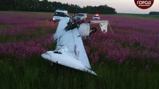 Фото с места падения самолета «Бекас» в Шиловском районе