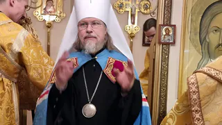 Рязанский митрополит Марк диагностировал у народа духовную шизофрению