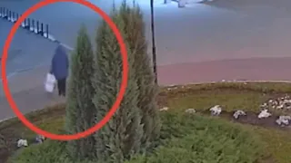 В Рязани пенсионерка сорвала цветы с клумбы на площади Победы