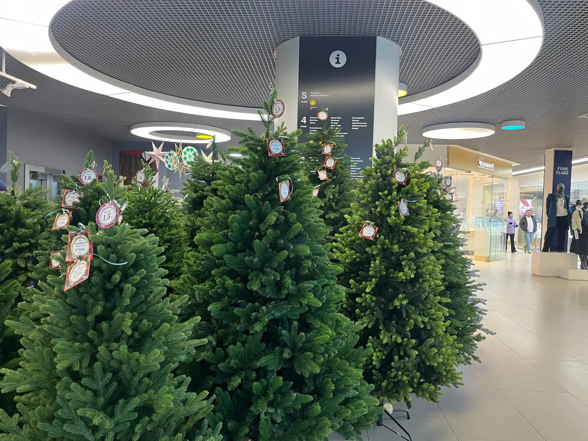 В Казани готовятся к открытию елочные базары — сколько будут стоить ёлки