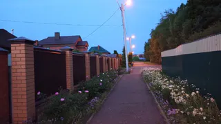 В Скопинском районе в июне 2025 года зафиксировали массовую гибель пчёл из-за пестицидов