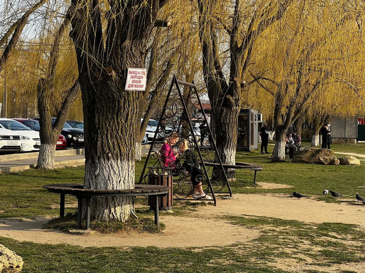 Признаки гения: эти 11 плохих привычек говорят о высоком IQ человека