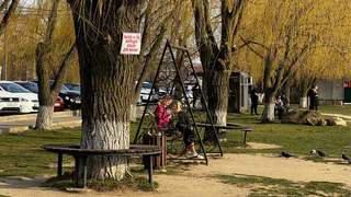 Признаки гения: эти 11 плохих привычек говорят о высоком IQ человека