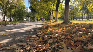 Неожиданный прогноз на сентябрь: погода приготовила сюрпризы, что будет с "бабьим летом"?