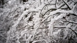 Погода в одном шаге от снега и заморозков