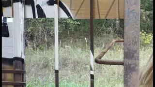 В Солотче неизвестные разрушили остановку транспорта