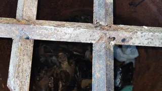 В Коми обнаружены остатки медведя в 200-литровой бочке