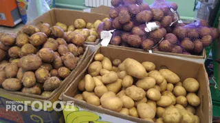 В Челябинской области картошка подорожала почти в 3 раза