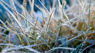 В Рязанской области 5 мая ожидается -2 градуса