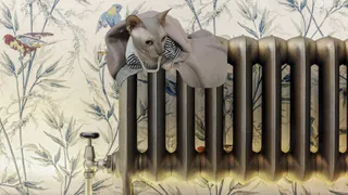 Не повышение цен, а намного хуже. Россиян ждут большие штрафы за батареи отопления