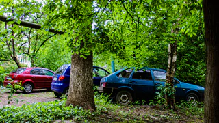 В Рязани оштрафовали 2041 нарушителя за парковку в зеленой зоне с начала года