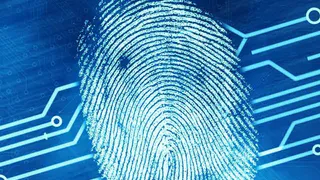 У мигрантов в Брянской области начали брать отпечатки пальцев