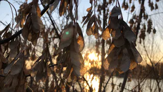 То дождь, то снег - прогноз погоды на новую рабочую неделю
