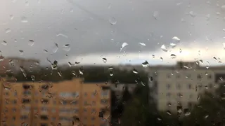 Зонтик не поможет: в четверг в Рязани снова ждут дождь и ветер