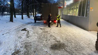 На Николаева грузовик насмерть сбил пенсионерку