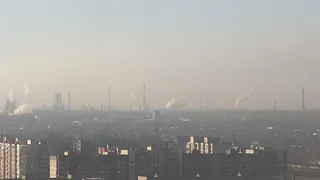 Что жители Рязани думают об экологии в городе: авторская колонка