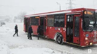 Жители Рязани создали петицию к губернатору Малкову из-за подорожания проезда в транспорте
