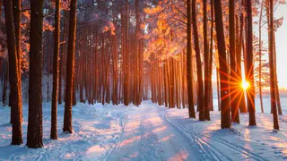 Приметы и запреты на 1 февраля: тяжелый труд противопоказан