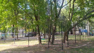 Хорошая новость для всех: в Рязани появится площадка для выгула собак