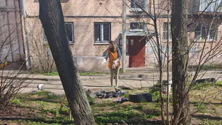 Аномальное тепло в Рязанской области разбудило майских жуков