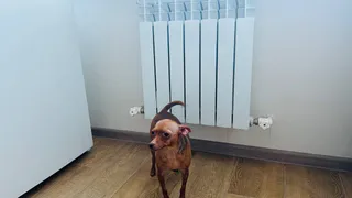 В апреле станет полностью бесплатным: пенсионерам заменят старые батареи – до какого числа подать заявления 