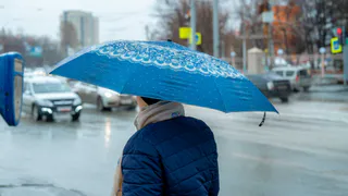 С 11 по 13 июня в Рязанской области ожидаются жаркая погода и дожди