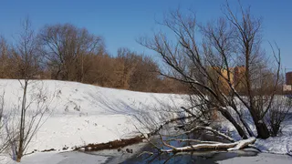 18 января в Рязанской области ожидается метель и до -22