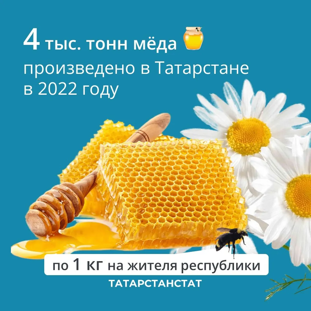 В 2022-м году пчеловоды Татарстана собрали 4 тыс. тонн сладкого «золота»
