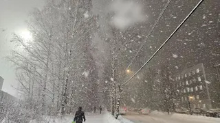 Синоптики рассказали о погоде в Коми на 31 декабря