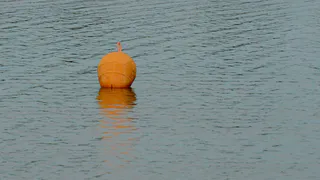 Из реки Ялма рязанские спасатели достали тело мужчины