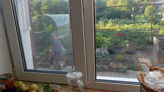 Одна чайная ложка — и окна сверкают бриллиантом до поздней осени: копеечный трюк для ленивых