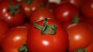 Популярный сорт помидоров "Т-34 F1": идеальный выбор для дачников