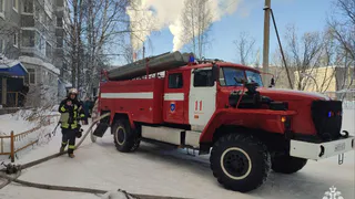 Два ребенка пострадали при пожаре в Коми
