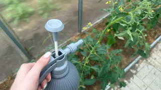 Сорняки завянут разом: разведите стакан на ведро и полейте вечером — не узнаете свой огород