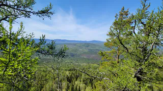 Нестабильная погода в Челябинской области: сильные дожди с грозами и градом ожидаются 21 мая