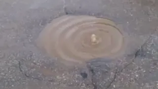 Народное фото: рязанец заметил бурлящую лужу