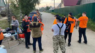 В Коми добровольцы нашли в овраге 89-летнюю женщину