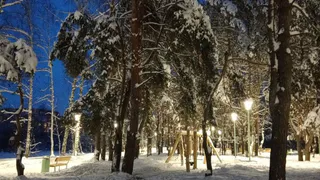 Рязанское правительство защитило границы Дмитриево-Ряжского монастыря