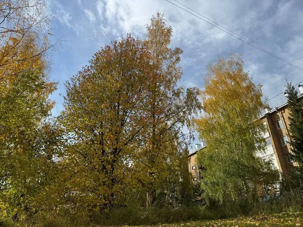 Холодное дыхание осени: заморозки и ветер захватят Челябинскую область