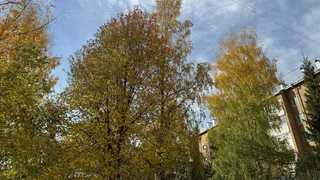 Холодное дыхание осени: заморозки и ветер захватят Челябинскую область