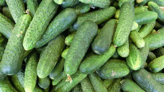 Простейший рецепт малосольных огурцов: залейте их минералкой - и увидите чудо